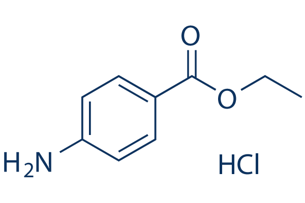 Benzocaine hydrochloride化学構造