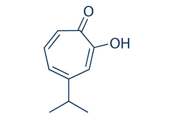 β-thujaplicin化学構造
