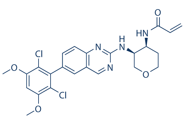 Fisogatinib (BLU-554)化学構造