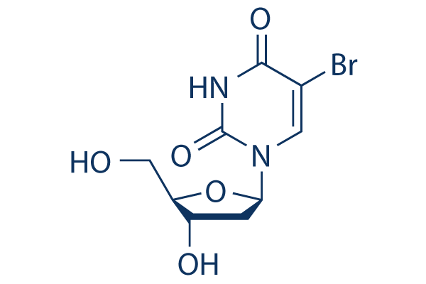 BrdU (Bromodeoxyuridine)化学構造