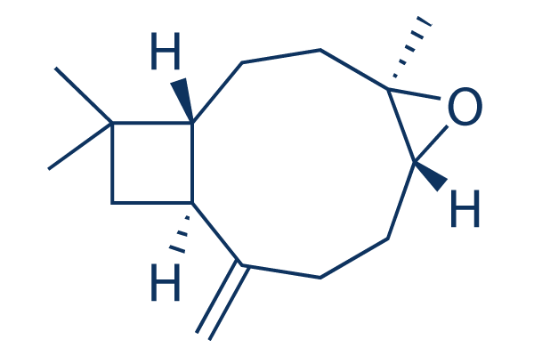 Caryophyllene oxide化学構造