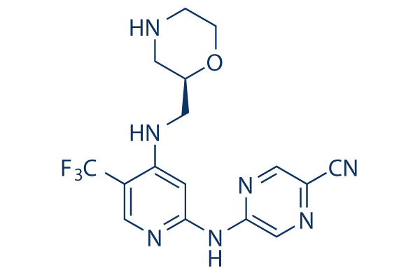 CCT245737 (SRA737)化学構造