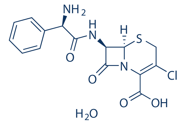 Cefaclor | ≥99%(HPLC) | Selleck | Antibiotics 阻害剤
