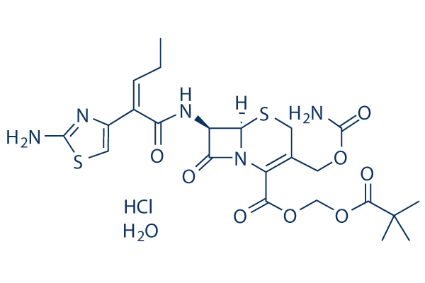 Cefcapene Pivoxil Hydrochloride化学構造