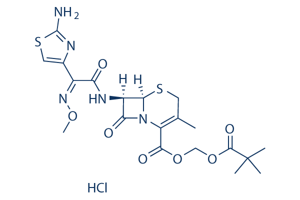 Cefetamet pivoxil hydrochloride化学構造