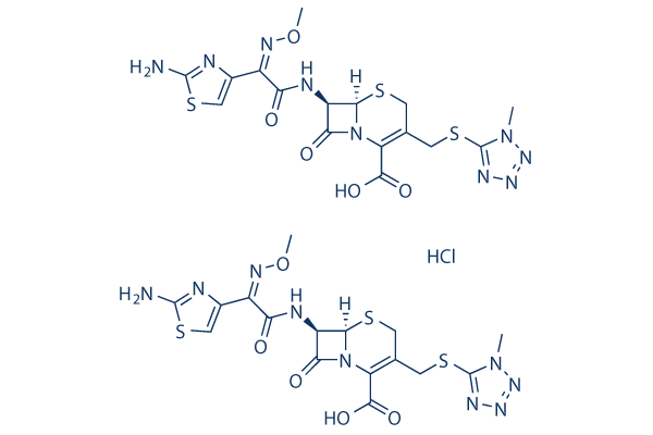 Cefmenoxime hydrochloride化学構造