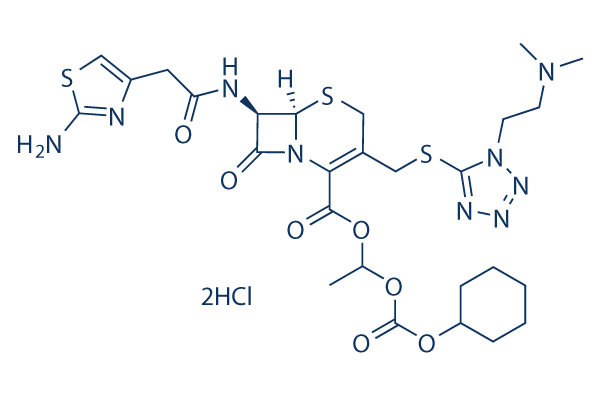 Cefotiam Hexetil Hydrochloride化学構造