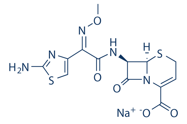Ceftizoxime sodium化学構造