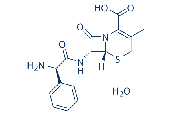 Cephalexin Monohydrate化学構造