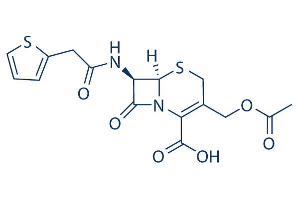 Cephalotin acid化学構造