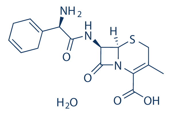 Cephradine monohydrate化学構造