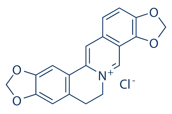 Coptisine chloride化学構造