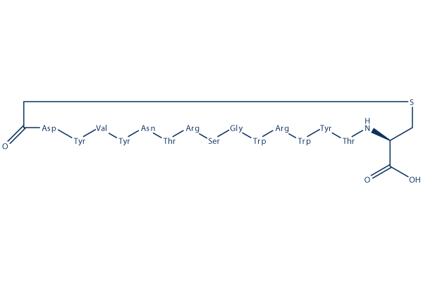 CP2化学構造