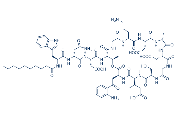 Daptomycin化学構造