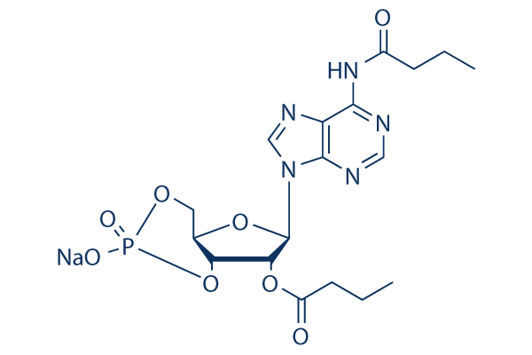Dibutyryl-cAMP (Bucladesine)化学構造