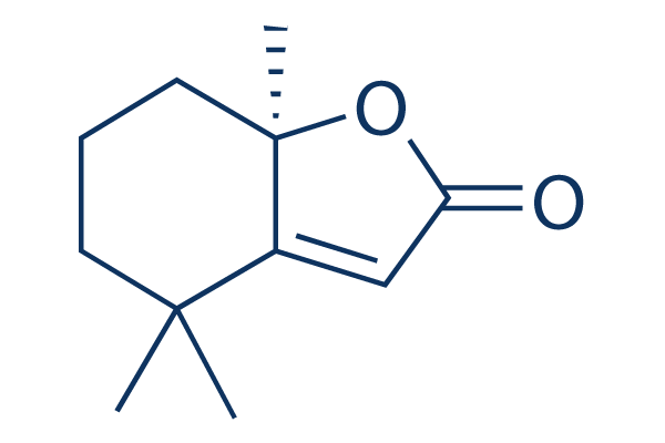 Dihydroactinidiolide化学構造