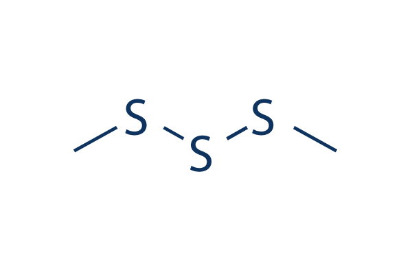 Dimethyl Trisulfide化学構造