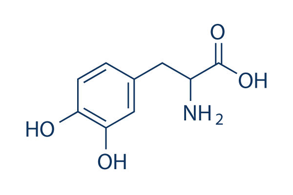 DL-Dopa化学構造