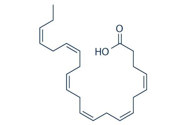 DHA (Docosahexaenoic Acid)化学構造