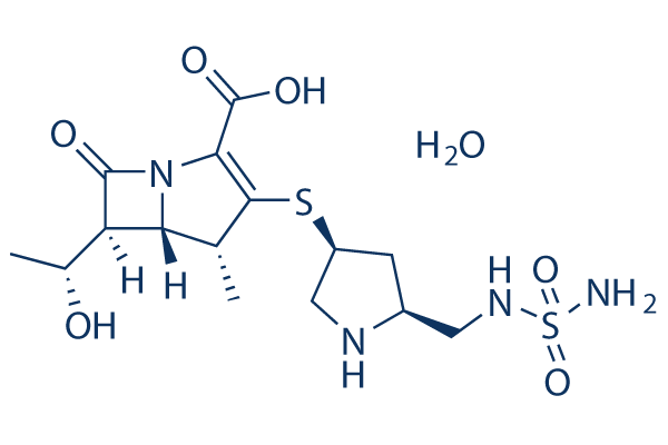 Doripenem Hydrate化学構造