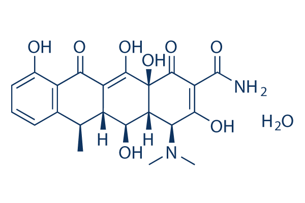 Doxycycline monohydrate化学構造