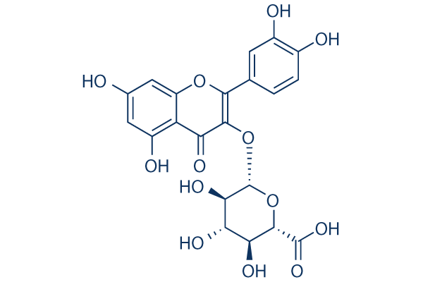 Quercetin 3-O-β-D-glucuronide化学構造