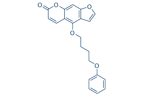 PAP-1化学構造
