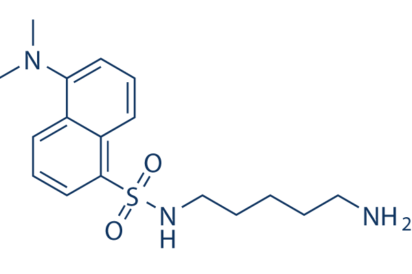 Dansylcadaverine (Monodansyl cadaverine)化学構造