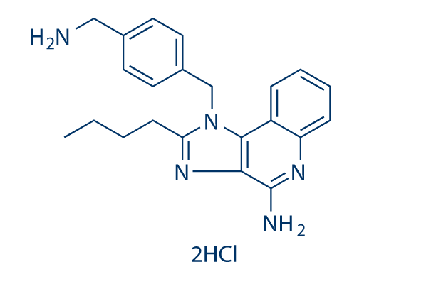 TLR7/8 agonist 1 dihydrochloride化学構造