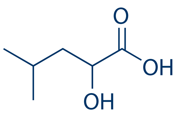 2-Hydroxyisocaproic acid化学構造