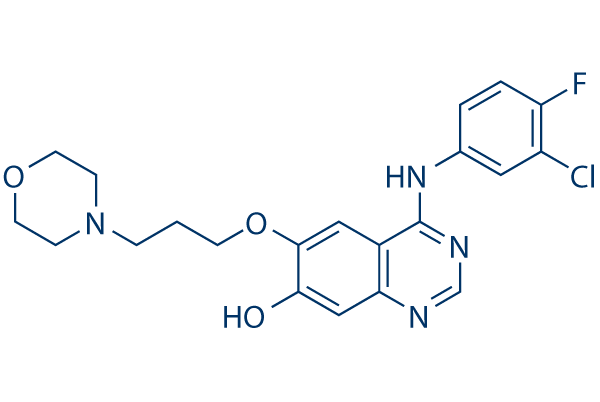 O-Demethyl-Gefitinib化学構造