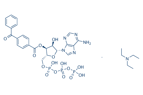 BzATP triethylammonium salt化学構造
