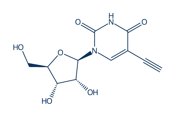 5-Ethynyluridine化学構造