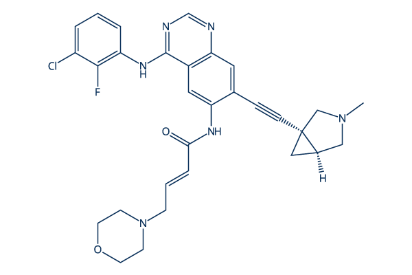 BDTX-1535化学構造
