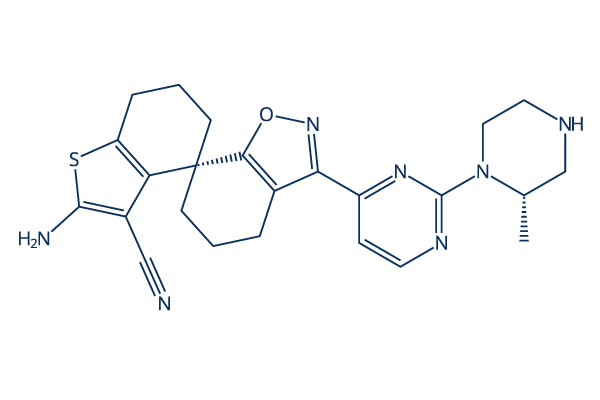 BI-2493化学構造