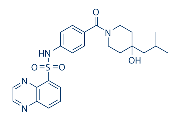 PKR-IN-2化学構造