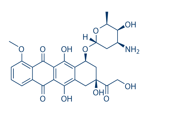 Doxorubicin化学構造