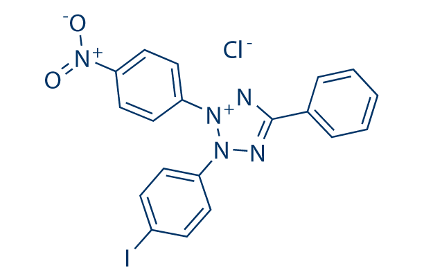 Iodonitrotetrazolium chloride化学構造