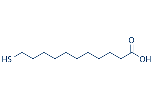 11-Mercaptoundecanoic acid化学構造