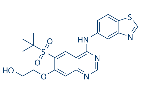 GSK2983559 active metabolite化学構造
