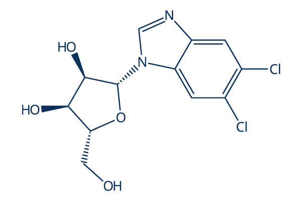 5,6-Dichlorobenzimidazole 1-beta-D-ribofuranoside化学構造