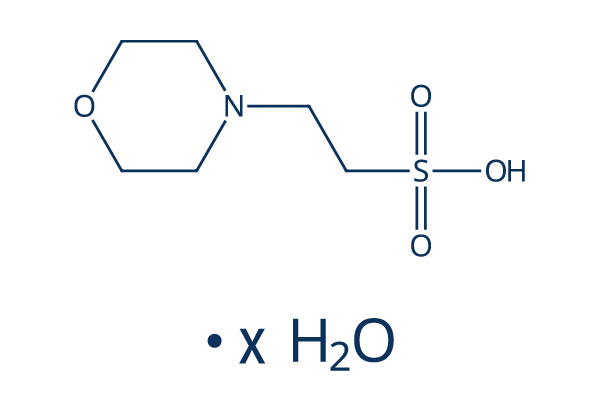 MES hydrate化学構造