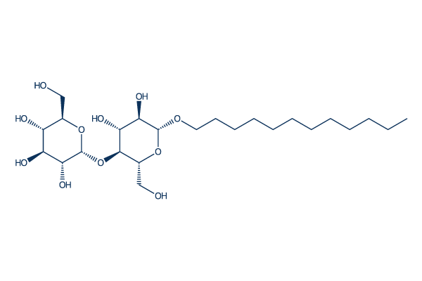 N-Dodecyl beta-D-maltoside化学構造