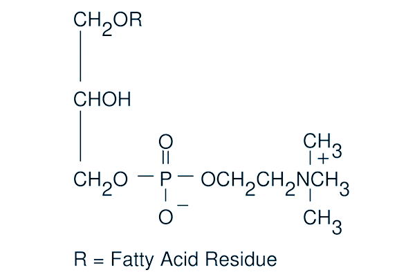 Lysophosphatidylcholines化学構造
