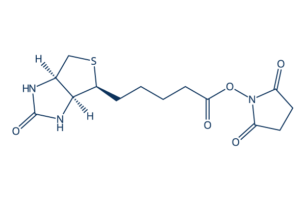 (+)-Biotin N-hydroxysuccinimide ester化学構造