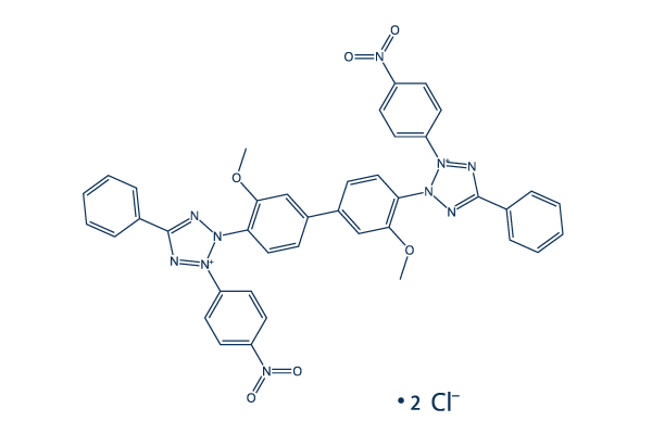 Nitrotetrazolium Blue chloride化学構造