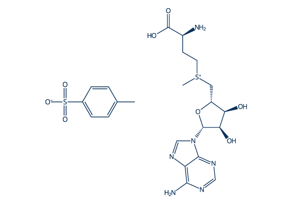 S-(5'-Adenosyl)-L-methionine p-toluenesulfonate salt化学構造
