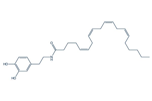 N-Arachidonyldopamine化学構造
