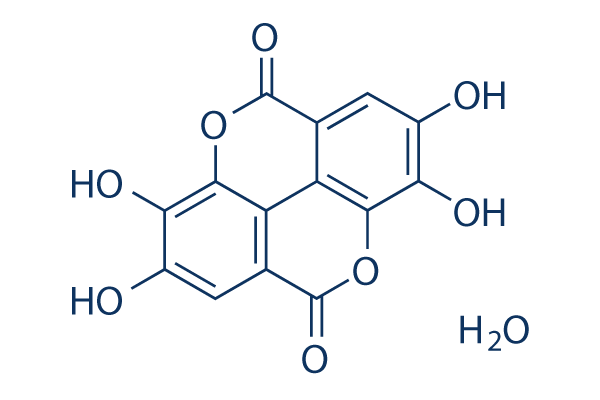 Ellagic Acid hydrate化学構造