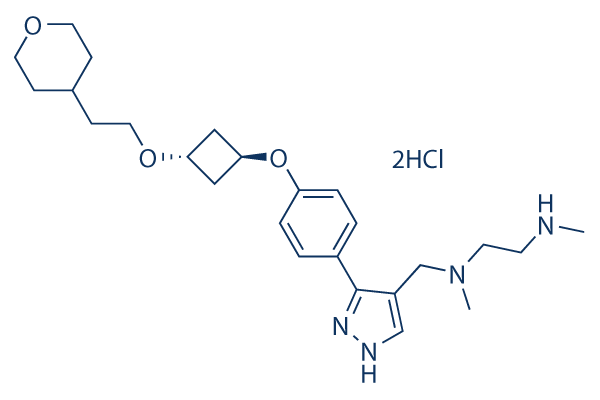 EPZ020411 2HCl化学構造